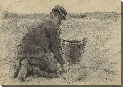 Картина Картофелеуборочный комбайн