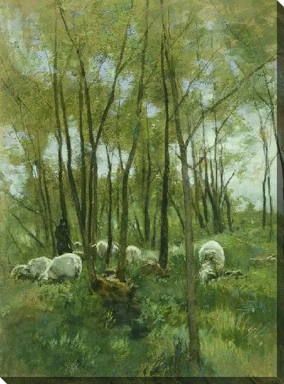 Картина Стадо овец в лесу