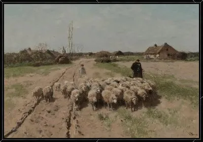 Овцы в ландшафте