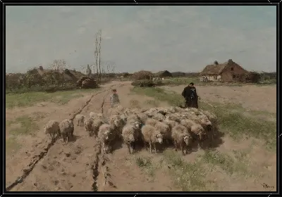 картина