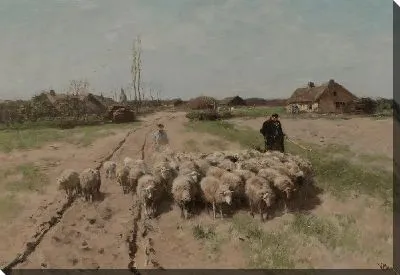 Овцы в ландшафте