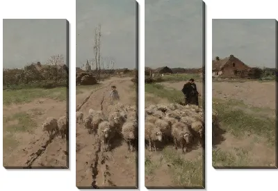 Овцы в ландшафте