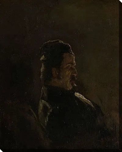 Картина Портрет Питера Фредерика ван Ос, художник