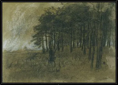 Лесная опушка