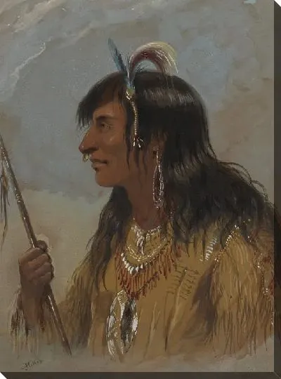 Картина Индийский пирсинг носа