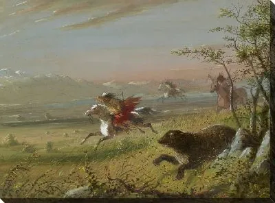 Медведь гризли