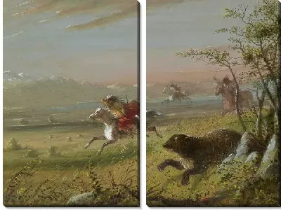 Медведь гризли