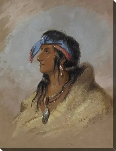 Картина Белый шлейф