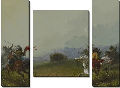 Картина Буффало в бухте