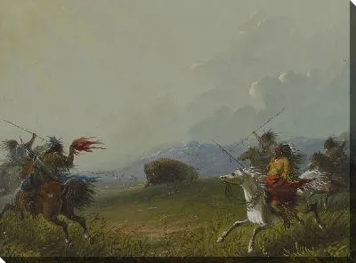 Картина Буффало в бухте