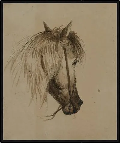 Голова лошади