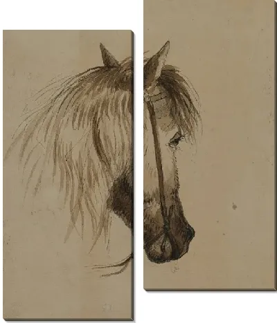 Голова лошади