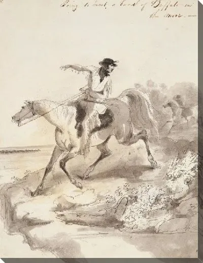 Картина Собираемся встретить группу бизонов в движении