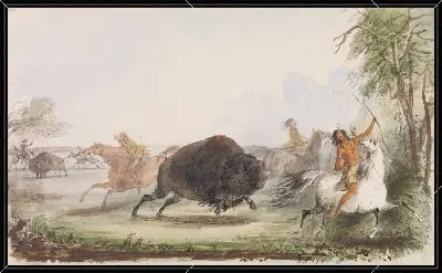 Картина Индейцы дразнят раненого буйвола