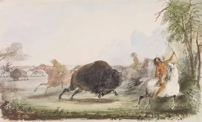 Индейцы дразнят раненого буйвола