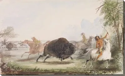 Индейцы дразнят раненого буйвола