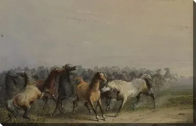 Картина Дикие лошади