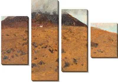 Двенадцать исследований Везувия