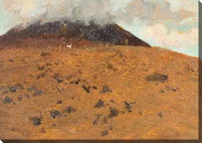 Двенадцать исследований Везувия