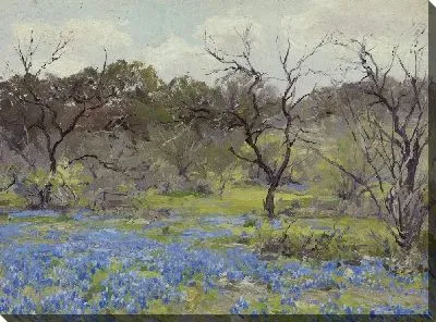 Картина Ранняя весна - голубые сети и мескит