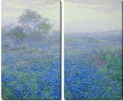 Картина Пасмурный день, Bluebonnets возле Сан-Антонио, штат Техас