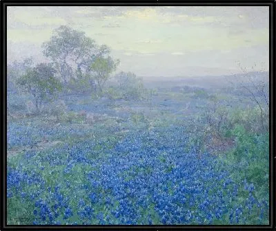 Пасмурный день, Bluebonnets возле Сан-Антонио, штат Техас