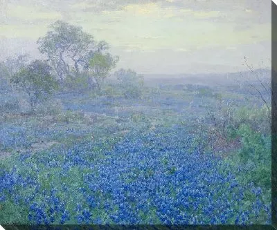 Пасмурный день, Bluebonnets возле Сан-Антонио, штат Техас