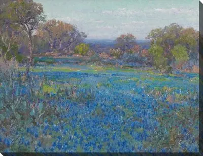 Картина Поле голубых капотов, поздний солнечный свет