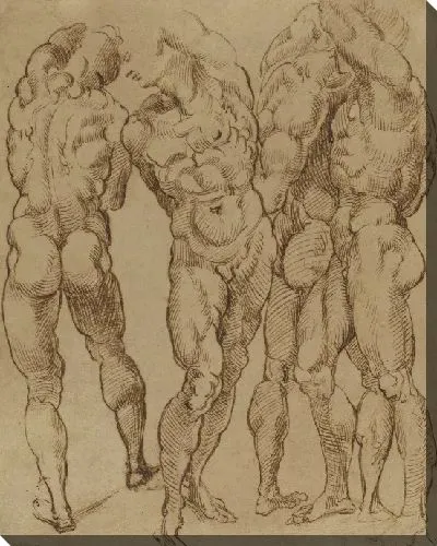 Картина Ню исследования