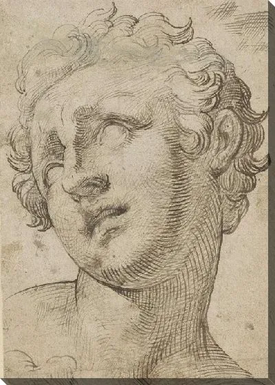 Картина Голова сына Лаосона