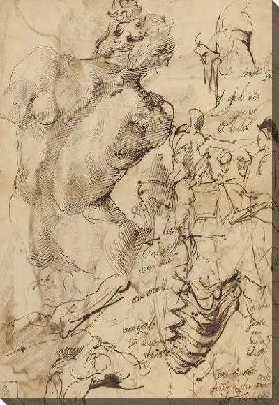 Картина Исследования скульптуры обнаженных мужчин, позвонков и фигуры жестов