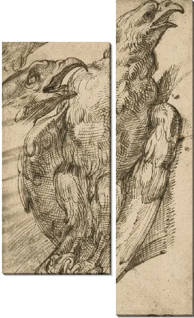 Картина Этюд с орлом