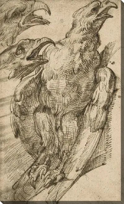 Картина Этюд с орлом