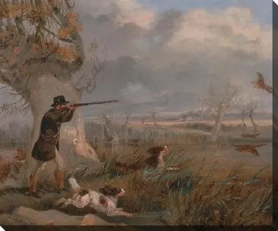 Утка стрельба