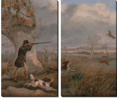 Утка стрельба