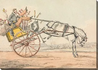 Картина «Спортивные открытия или несчастья от вождения ...» Вы обнаруживаете, что Поводья находятся под его хвостом