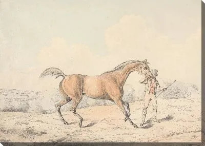 Картина Жених, ведущий лошадь залива