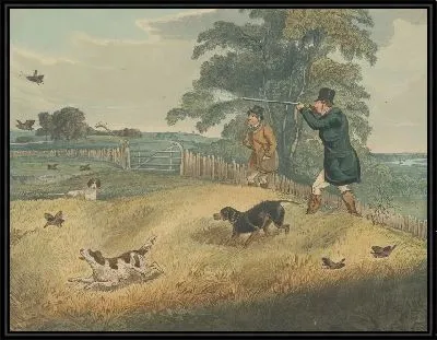 Куропатка стрельба