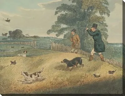 Куропатка стрельба