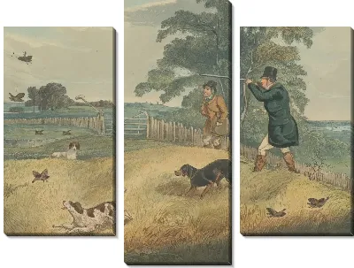 Куропатка стрельба