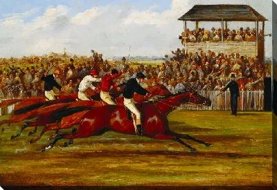 Картина Западная Австралия выиграла Дерби в 1853 году