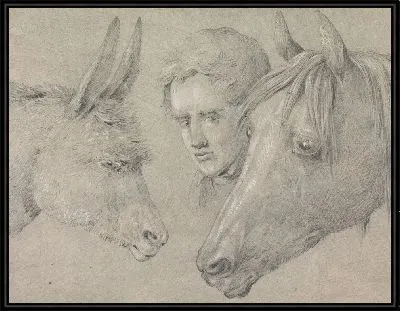 Голова конюшни, посмотревшая между конями лошади слева и ослом справа