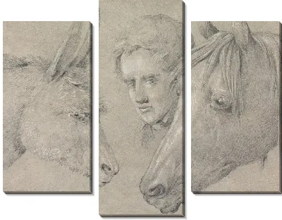 Голова конюшни, посмотревшая между конями лошади слева и ослом справа