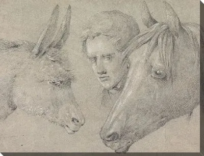 Голова конюшни, посмотревшая между конями лошади слева и ослом справа