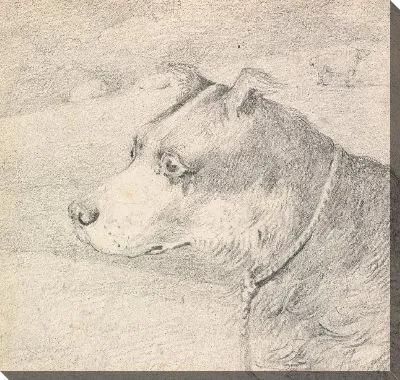 Картина Голова и плечи собаки колли, в поводке или на поводке, отрывочные овцы на заднем плане