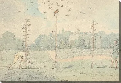 «Национальный спорт Великобритании», 1821: Owling