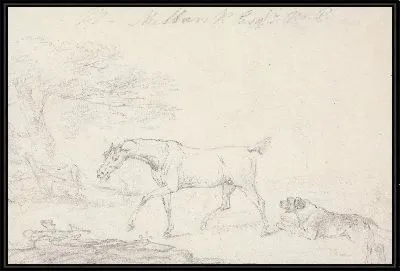 Лошадь и собака