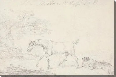 Лошадь и собака