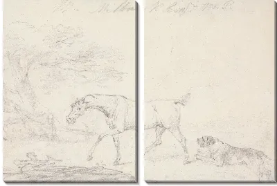 Лошадь и собака