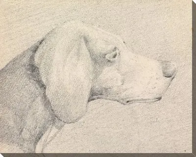 Картина Голова лиса, в профиль справа